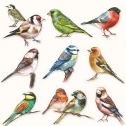 craftemotions-napkins-5pcs-collection-of-birds-33x33cm-ambiente-13310165_30112_1_G[3].jpg